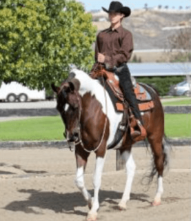 hombre-en-caballo hombre en caballo